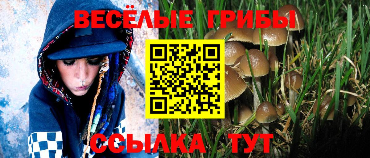 Астрахань  Псилоцибиновые грибы мухоморы  купить   Вход с VPN 